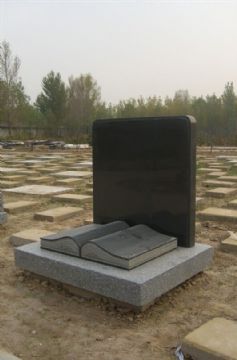 點(diǎn)擊查看詳細(xì)信息<br>標(biāo)題：石墓碑 閱讀次數(shù)：2082